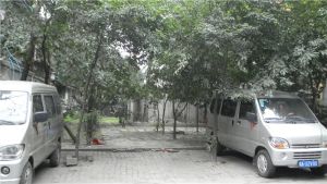 百寿路7号2室2厅南