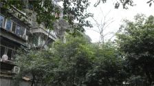百寿路7号3室1厅东南
