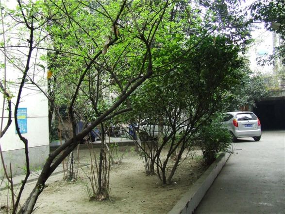 石人南路35号院实景图