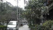 攀钢苑1室1厅东南西北