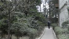 攀钢苑2室1厅东西