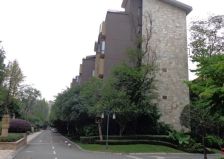 龙城1号 3室1厅 北