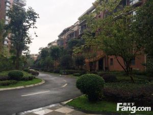 堰山和畔4期3室2厅南北