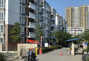 向龙小区1室1厅南
