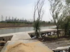 电梯房 中间楼层 新上房源