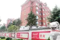 红状元实景图