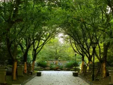 茶园新区 中铁北美时光(D组团)五房212万