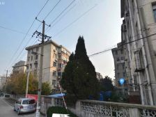 光明西村 中间楼层 两室 精装修 诚意出售