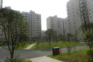 可可小城 若比邻 长丰站地铁口 不沿街两居室 清水毛坯