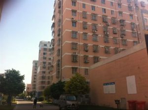 隆兴佳园2室1厅南