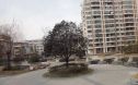 金泰花园实景图