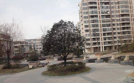 金泰花园实景图