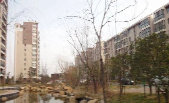 金泰花园实景图