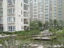 朝北大窗户可观玉米楼,满五年,鑫苑物业,可贷款