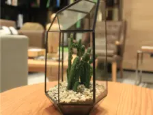 毛线沟 中房那里二房64万