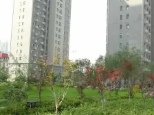 博澳福泽门 4室2厅 南 北