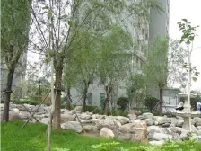 博澳福泽门 2室2厅 南