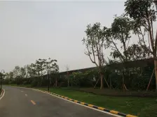 金地城南双拼别墅 已装修好 看房方便!