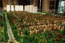 金地城南艺境 双拼别墅 业主诚心出售 价格可谈