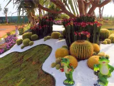 碧桂园澜江华府 临高核心位置 环境优美急售小两房 拎包