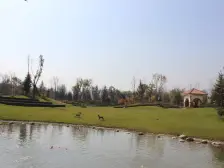 天然氧吧的别墅小区,远离都市的喧闹