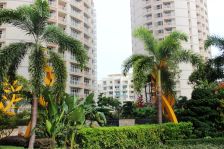 恒大苹果园·金色阳光 1室1厅 南