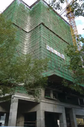 泰平盛世实景图