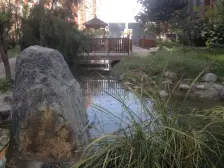 北龙湖西侧 标准一居室 出门双地铁2/4号线