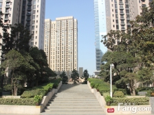 不临街不临路 两梯两户 中间舒适楼层 景观一览无余