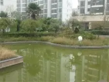 新上通泰路地铁口大两居 业主诚售 满五唯一 随时看房