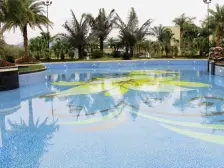 四面环山 空气清新 青山绿水 负离子是广州的4倍