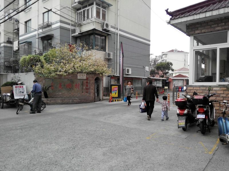 实景图