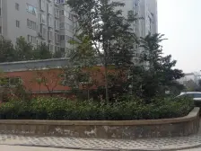 聚源路顶楼复式大露台 精装 一梯两户满五年拎包入住