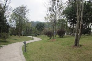 君康家园4室2厅南
