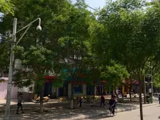 小户型,南向,采光充足,小区环境安静舒适交通便利