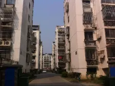 公园一村 1室1厅 南