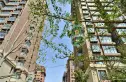 香山美墅实景图