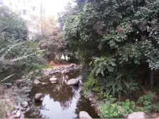 2006年的大社区,标准一室一厅,小区环境好