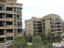 此房业主急售,毛坯,户型好,小区人文素质高