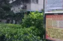 绿苑小区实景图