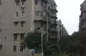 绿苑小区实景图