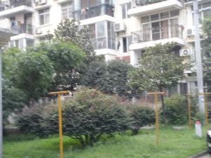 荣校教师小区,证满五年唯一,中高楼层,南北通透