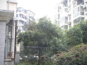 好楼层诚心卖小三房闹中取静值得买