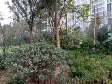 中州大道北三环挑高复式5.3米低总价小两室