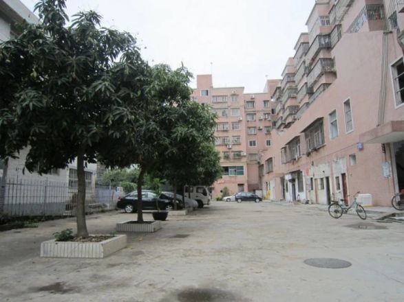 中立花园实景图