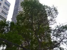 亚太·东方星座 3室2厅 南 北