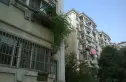 金陵世纪花园实景图