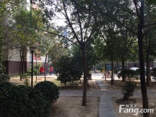 急售 美好佳苑 3房 南北户型 临公园 近地铁 停车方便