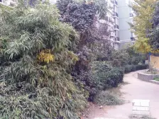 双气大型社区,多层大复式1-2楼,带院子。