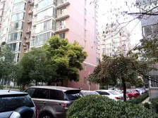 新鑫花园 双气 地铁1号线 带花园 一二楼复式